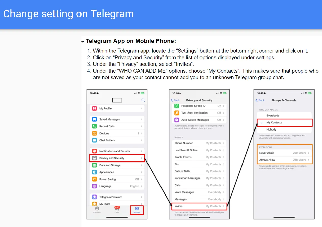 Telegram Privacy Settings